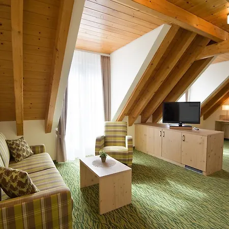 Alte Mühle Hotel 3*