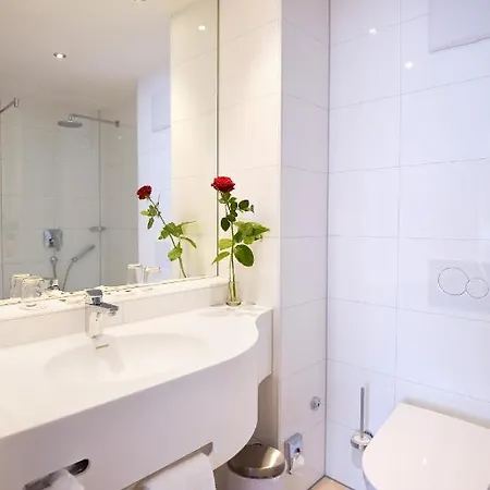 فندق Alte Muehle