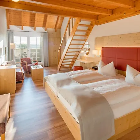 阿尔特穆尔兰德酒店 酒店 3*