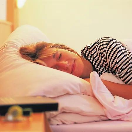 Ξενοδοχείο Alte Muehle