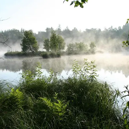 Alte Muehle