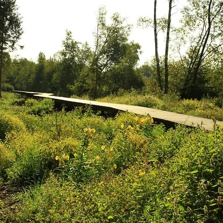 Alte Mühle 3* Ostrach