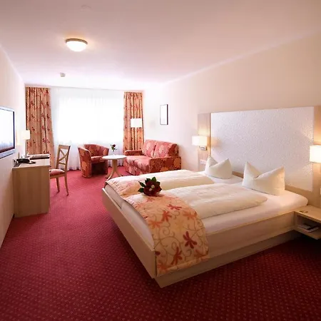 فندق Alte Muehle