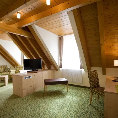 Alte Muehle Hotel 3*